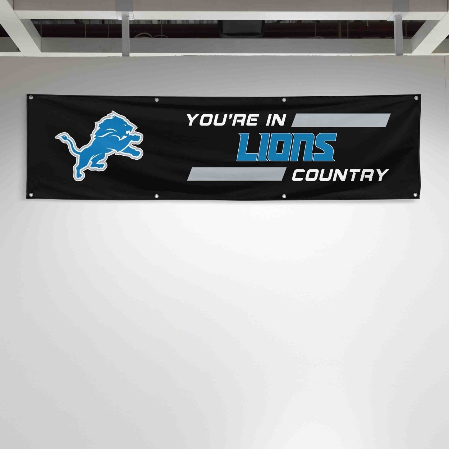 For Detroit Lions Football Fans 2x8 ft Flag You Are In Country Gift Banner