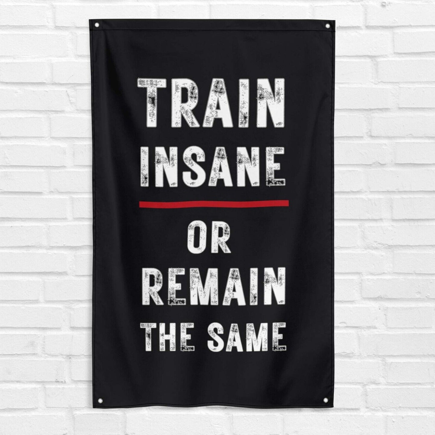 Train Insane or Remain The Same 3x5 ft Gym Flag Fitness Body Building Weightlifting Muscle Workout Crossfit Exercise Motivational Banner