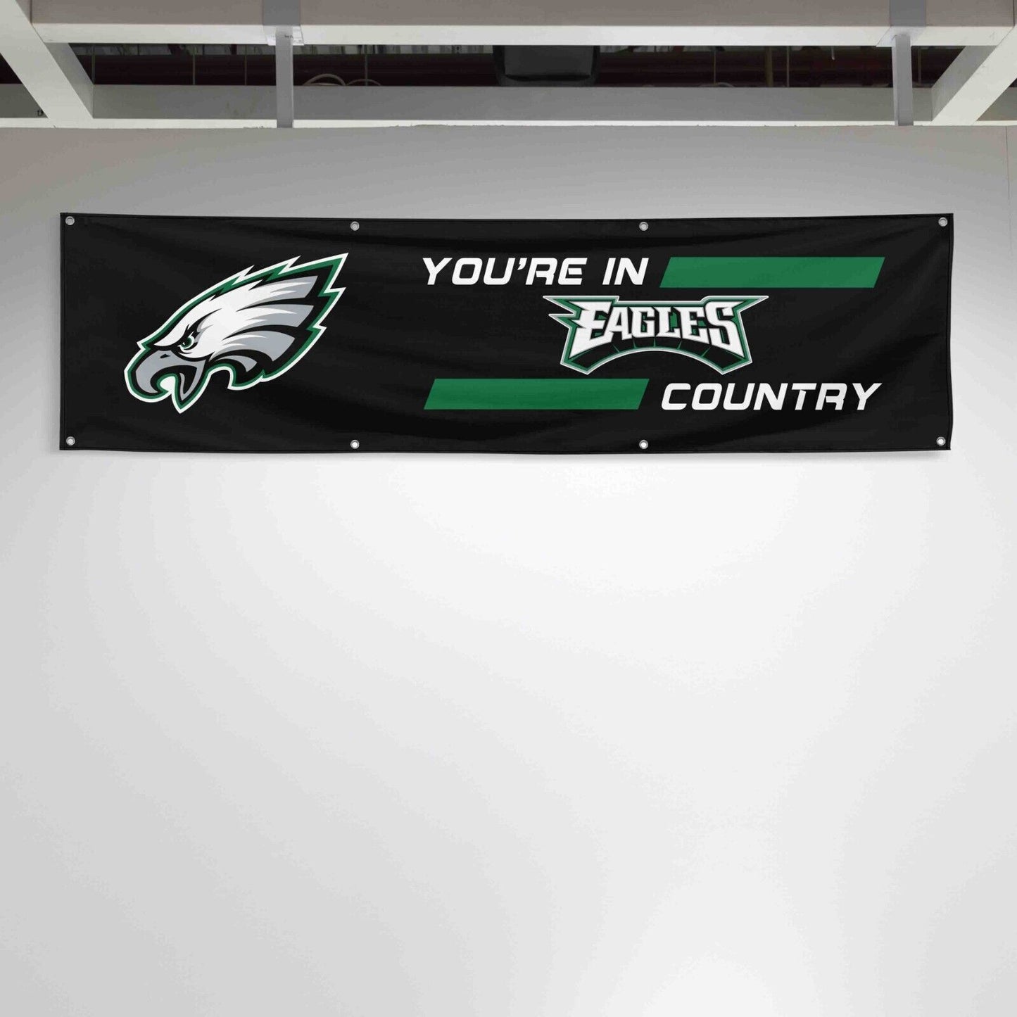 For Philadelphia Eagles Football Fans 2x8 ft Flag You Are In Country Gift Banner