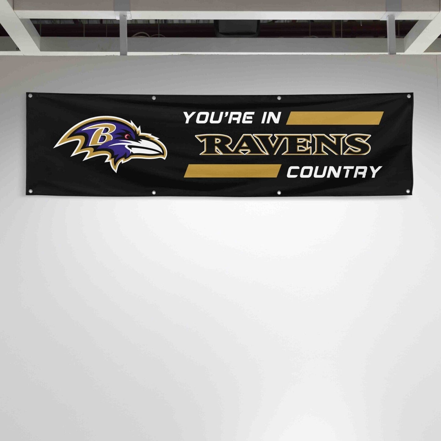 For Baltimore Ravens Football Fans 2x8 ft Flag You Are In Country Gift Banner