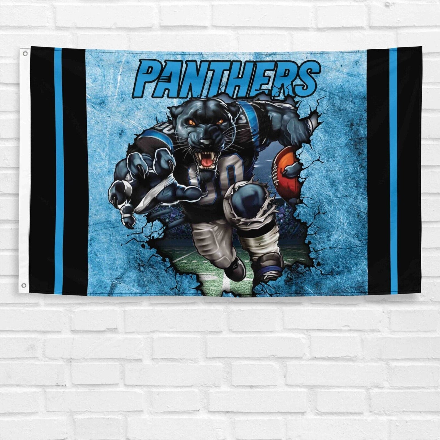 For Carolina Panthers Fans 3x5 ft Flag NFL Football Champions Wall Banner Gift